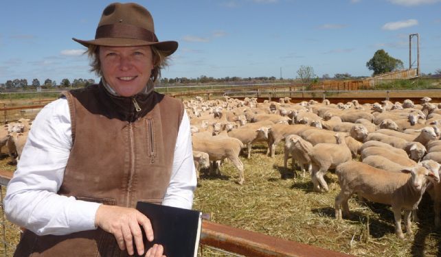 Brand on the run: Plains Paddock's Anna Kelly  at the Hay sheep sale recently, where she paid $121 for 120 first-cross Dorper ewe lambs  to complement her branded lamb venture.
